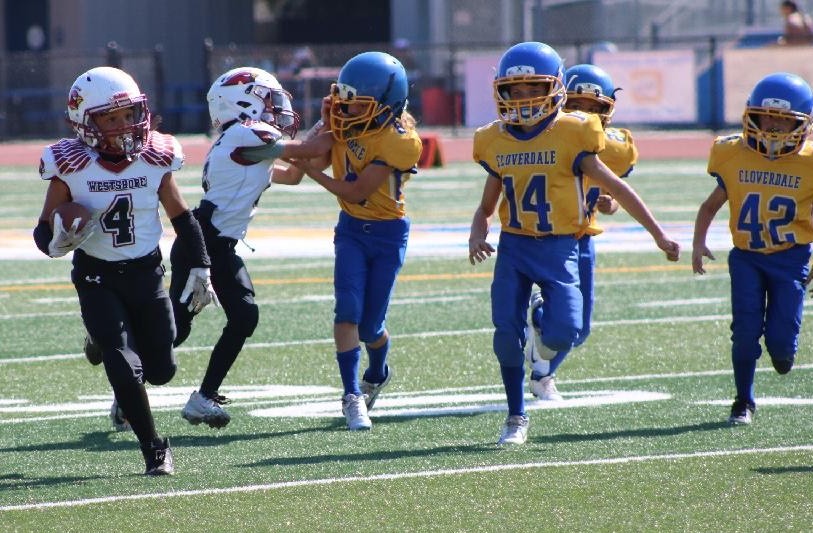 Rave, Cardinals roll past Willits 33-0 post thumbnail image