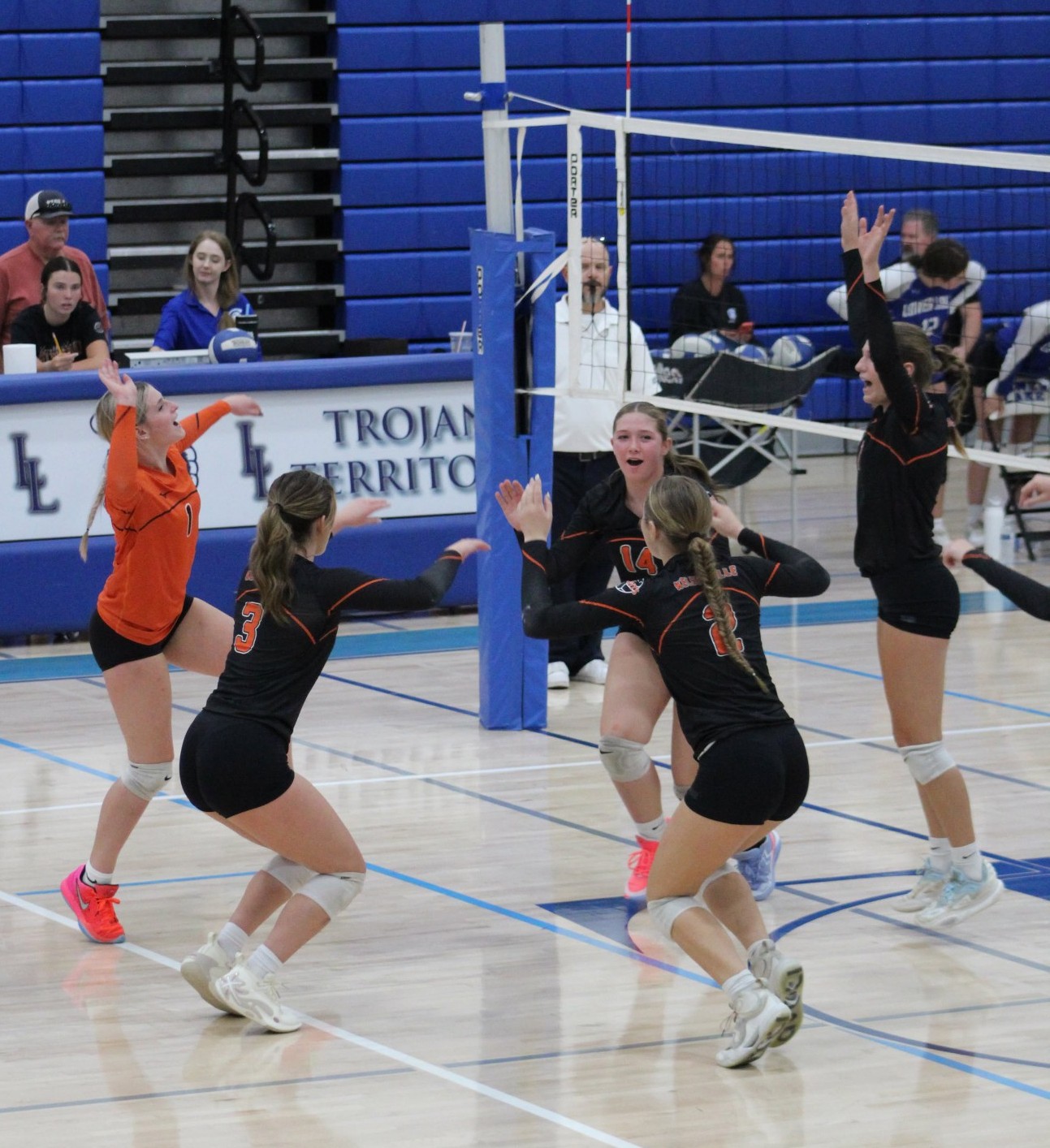 Knights beat Trojans, Cards, ‘Stangs, Cougar fall post thumbnail image