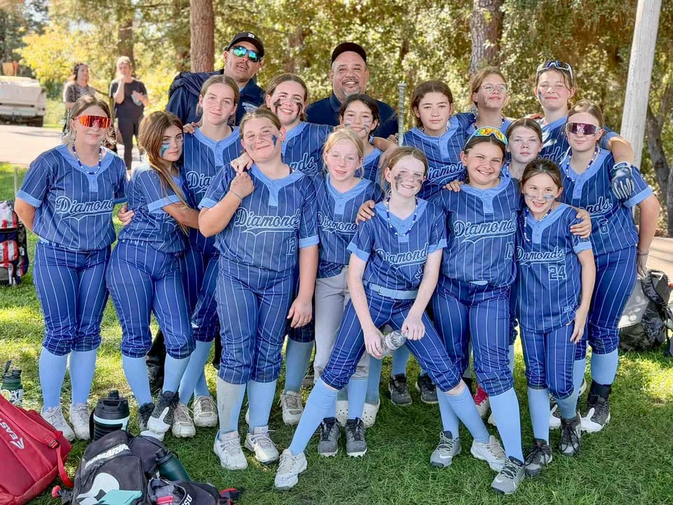 Lake County Diamonds place third post thumbnail image