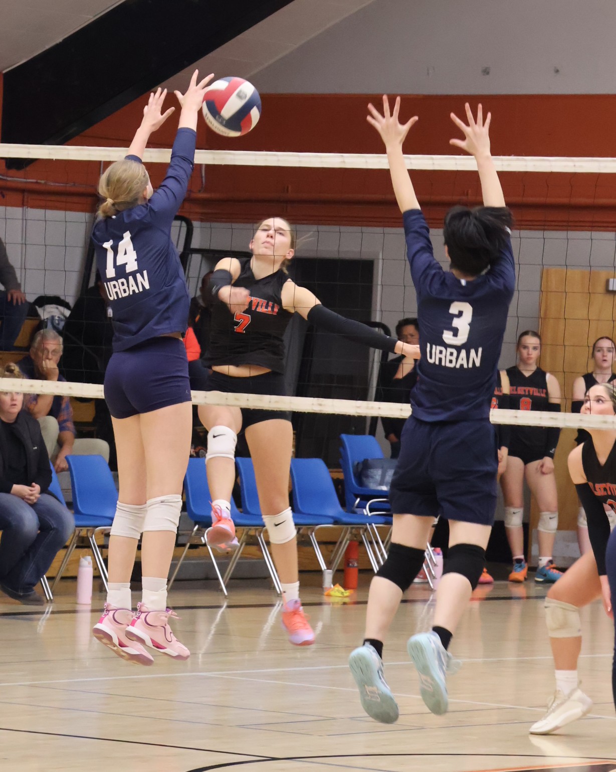 Knights lose hard-fought match in semis post thumbnail image